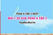 Bài 7.30 SGK Toán 6 tập 2 Kết nối tri thức